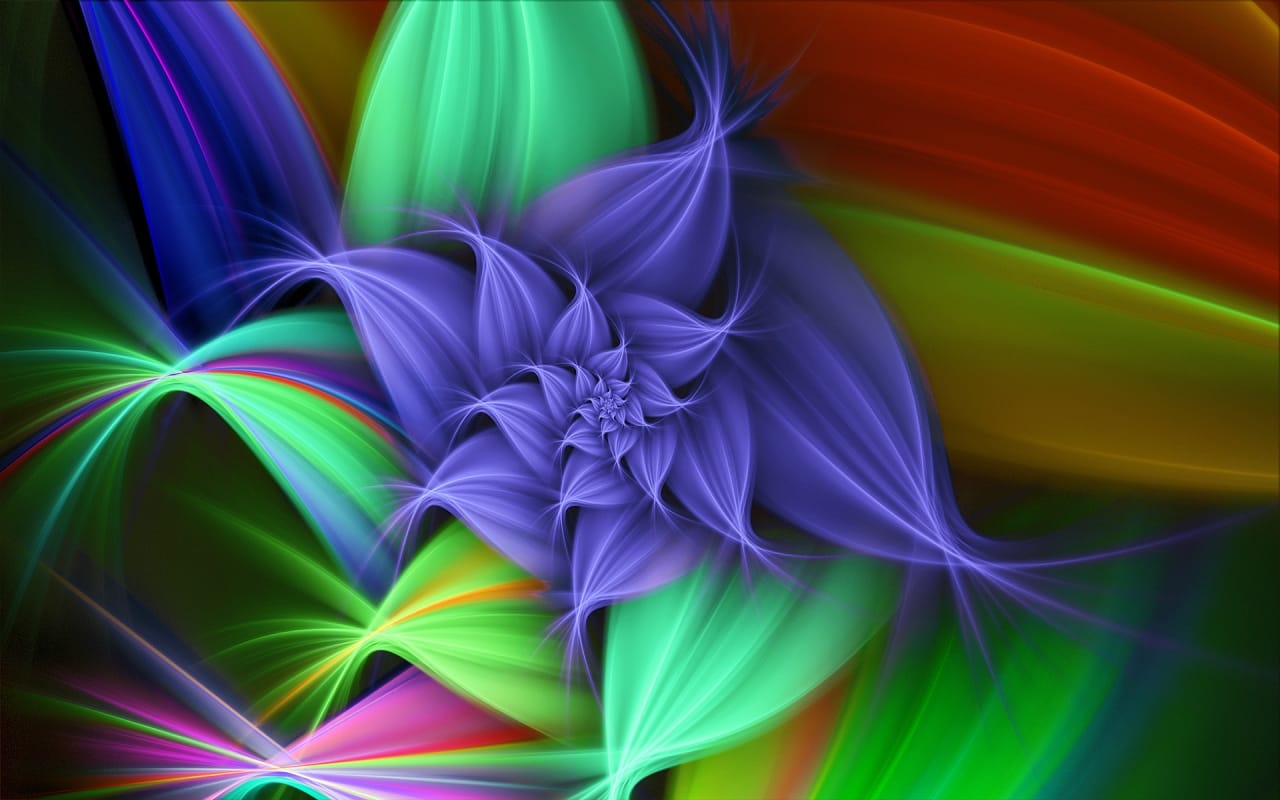 Colourful Flower 1280 x 800 widescreen